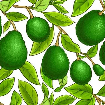 Avocado vector pattern Stock Illustration
