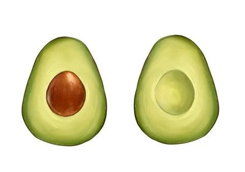 Avocado on white background. Design element. Stock-Illustration