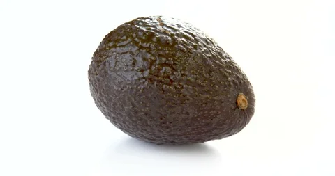Avocado on white background Stock Footage 101455942