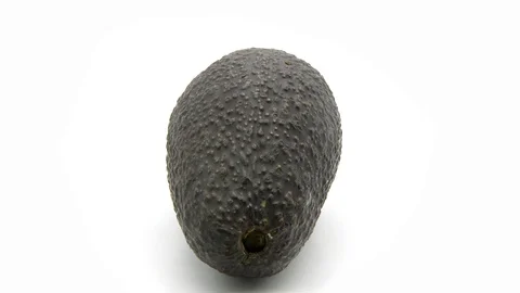 Avocado on white background Stock Footage 102436552