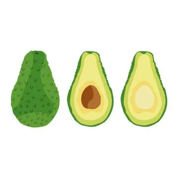 Avocado on a white background, isolated and done in vector Stock Illustration