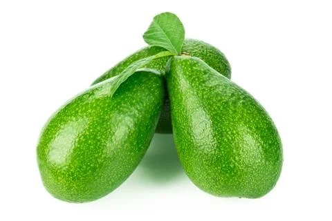 Avocado on white background Stock Photos