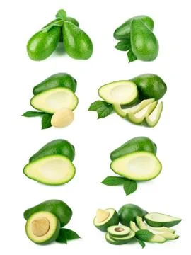 Avocado on white background Stock Photos