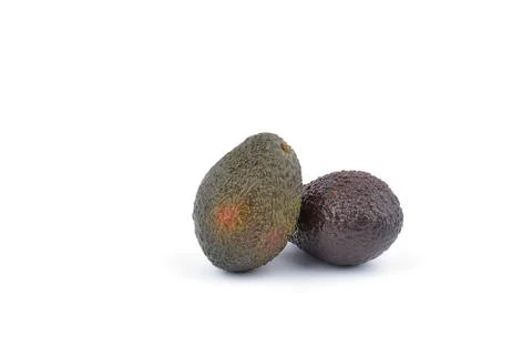 Avocado on a white background. Stock Photos