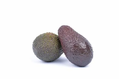 Avocado  on a white background. Stock Photos