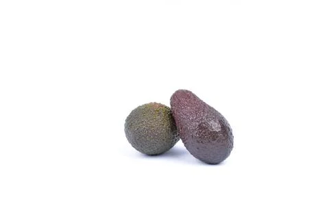 Avocado  on a white background. Stock Photos