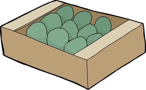 Avocados in crate Stock Illustration