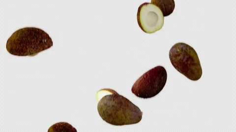 Avocados falling down in slow motion on transparent background. 스톡 동영상 252361998