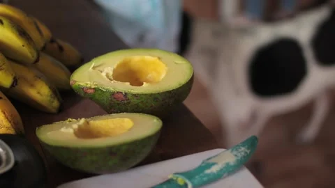 Avocados in the kitchen slow motion Stock Footage 249609268
