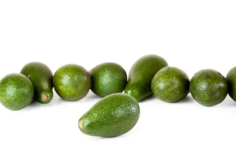 Avocados Stock Photos
