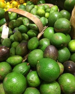 Avocados Stock Photos