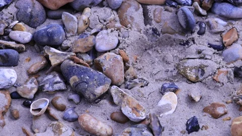 AVON BEACH PEBBLES Stock Footage 236695759