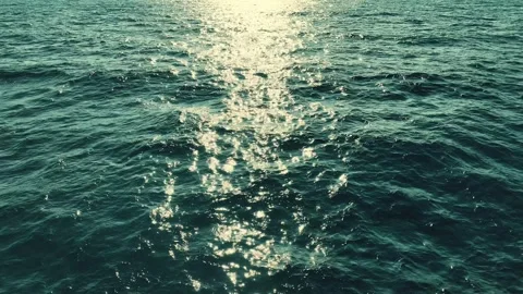 Avtive ocean Stock Footage 295947187