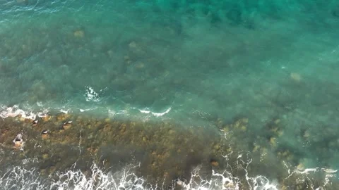 Avtive ocean Stock Footage 295947233