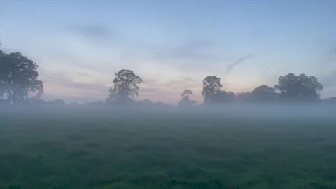 Awakening Fields: The Soft Whisper of Dawn Mist 스톡 동영상 255865521