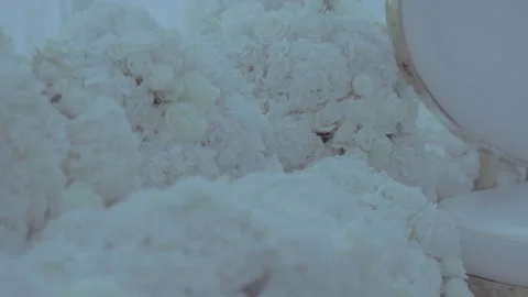 Awakening. 動画素材 185721159