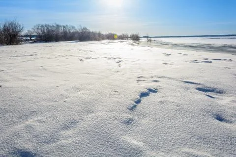 Awakening of nature in early spring Stock Photos