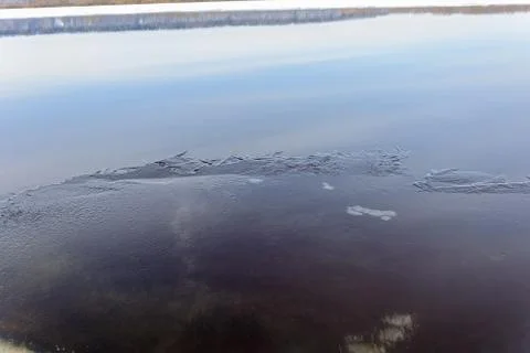 Awakening of nature in early spring Stock Photos