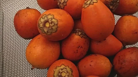 Awara fruit rotating up close top view Stock Footage 303316942