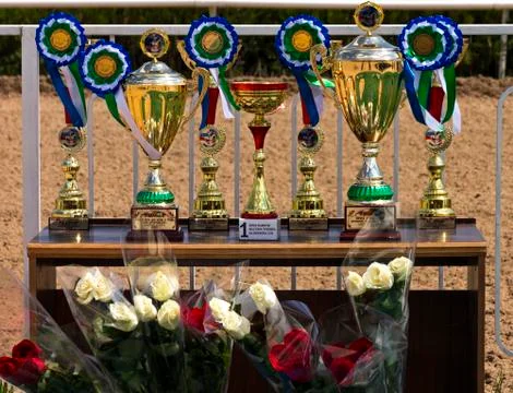 Awards on the table to the winners Stock Photos