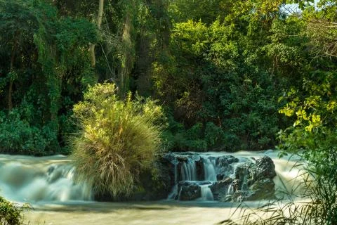 Awash River Stock Photos