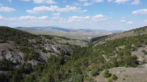 Awe-Inspiring Drone Flight over Beynam Forest. Unveiling Ankara's Hidden Gem Stock Footage 245027255