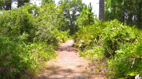 Awesome 360 roll effect! Stock Footage 155210772