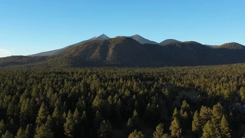 Awesome aerial drone view of Humphrey's Peak, Flagstaff, Arizona, USA Stock Footage