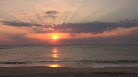 Awesome beach sunrise! Video stock 71663181