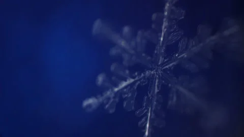 Awesome big snowflake on blue background under microscope. Weather science Stock Footage 148366872