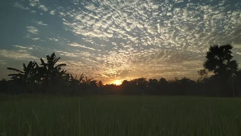 Awesome Golden Clouds Floating in the Blue Sky Beautiful Sunset Timelapse Stock Footage 133085652