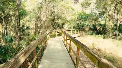 Awesome hiking path in Florida. Stock Footage
