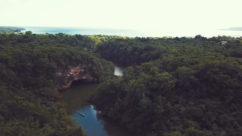 Awesome jungle river view Stock Footage 100763440
