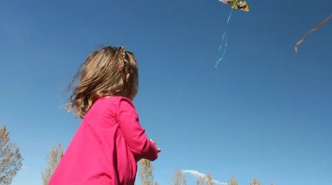 Awesome kite flying. Stock Footage 12364873