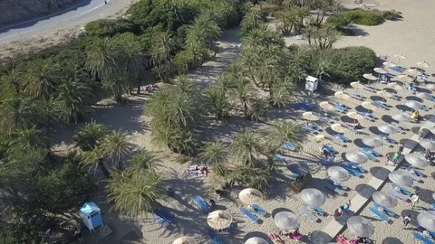 Awesome palm beach Vai Stock Footage 81370976