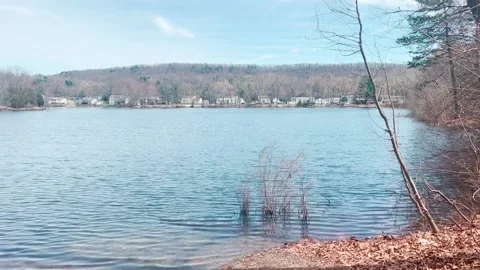 AWESOME PAN LEFT SHOT OF TREES TO LAKE WITH DUCKS AND BIRDS TALKING Stock Footage 182480218