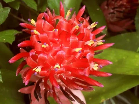 Awesome 스톡 사진