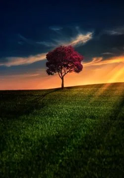 Awesome solitude Stock Photos