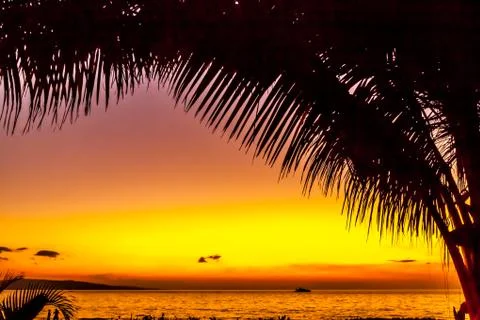 Awesome sunset Stock Photos