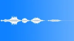 Awesome Tenor Voice Sound Effect