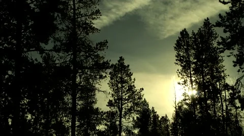 Awesome timelapse clip of moving sun and clouds in mountain tree scenery Stock-Footage 45114726