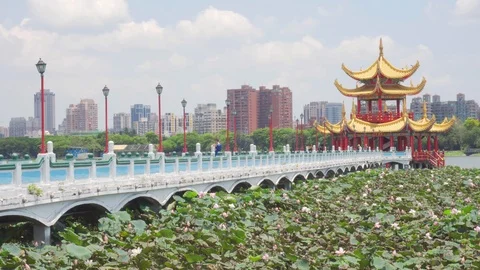Awesome view of bridge leading to Wuliting at Lotus Lake Stock Footage 108717335