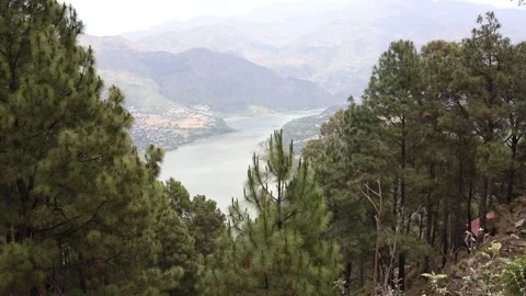 Awesome view of pine trees with reservoir lake Stock Footage 240620053