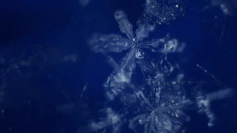 Awesome winter background. Game of lights and shadows on snow crystals. Highly Stock Footage 148366824