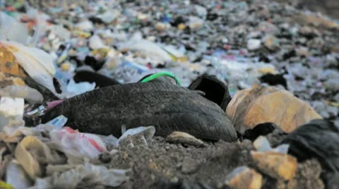 Awful Valley full of Trash Stock Footage 12163799