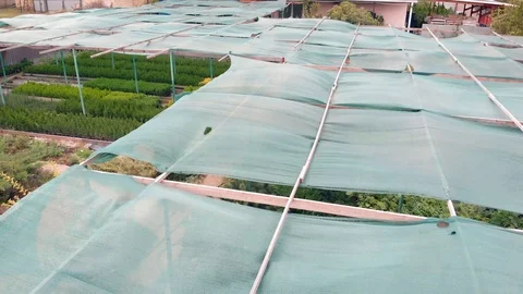 Awning that creates a shadow for cultivated plants and flowers. Aerial view Stock Footage 118286174