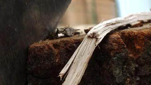 Ax and stump Stock Photos