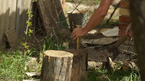 Ax Firewood Cutting Stock Footage 75485989