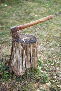 Ax in a log Stock Photos