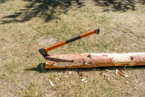 Ax in a log at a picnic Stock Photos